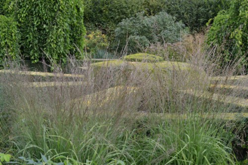 Haseley Court, grasses, focal point